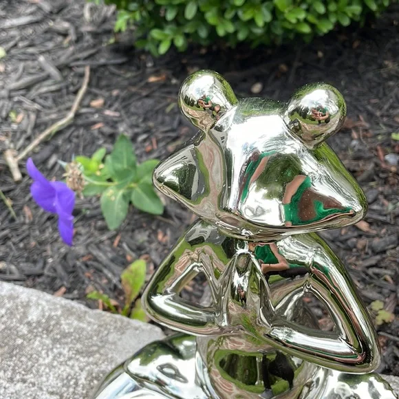 Ceramic Mirror Chrome Cute Whimsical Yoga Frog - Picture 5 of 12